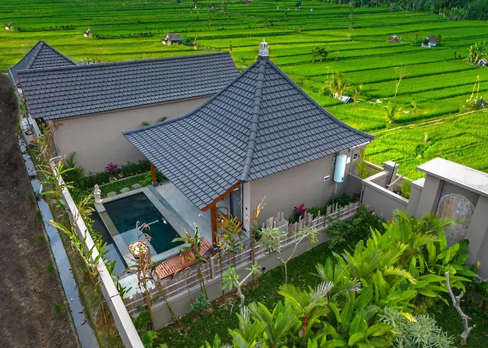 Umayonk Ubud By Dhananjaya Hospitality 4*